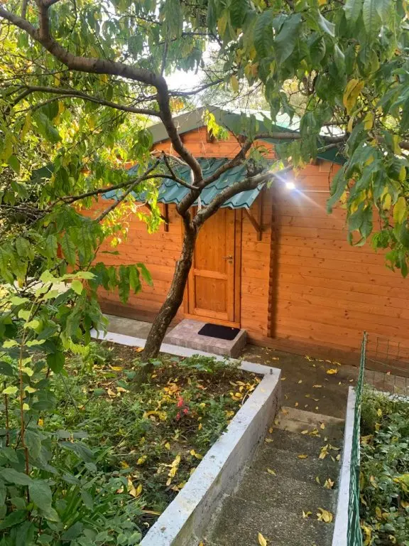 Сочи: Частный Дом в Центре Сочи