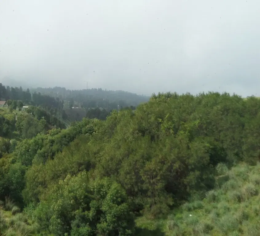 Надисари: Fredelia Homestay