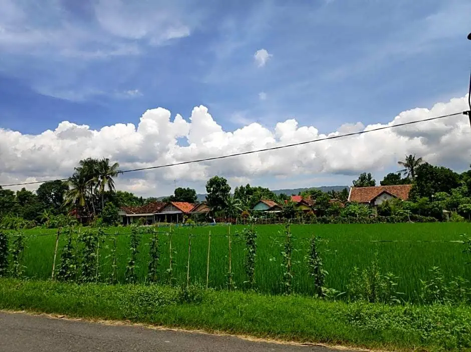 Батуретно: Homestay Joglo Sudiatmojo