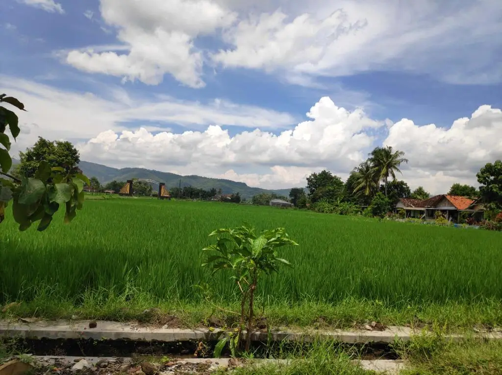 Батуретно: Narti Homestay