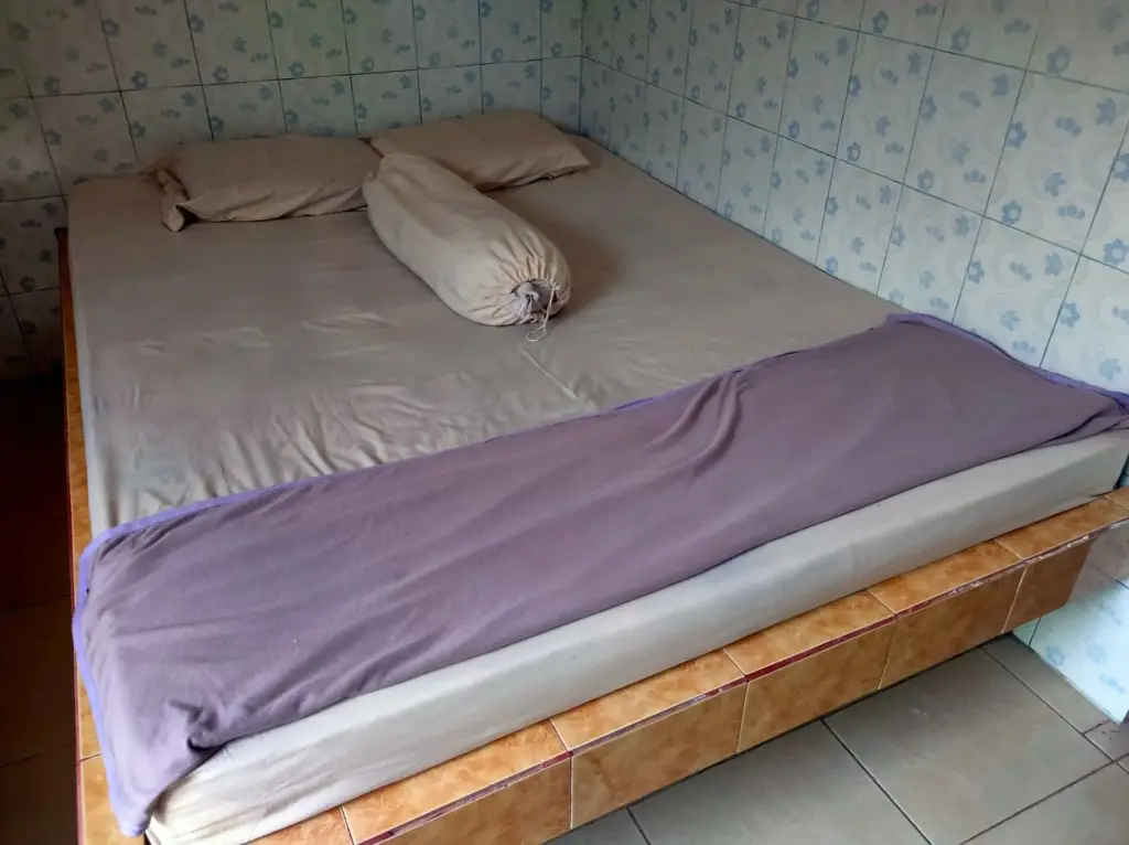 Бандунган: Hotel Rinosari Bandungan