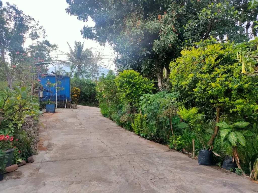 Бандунган: Hotel Rinosari Bandungan