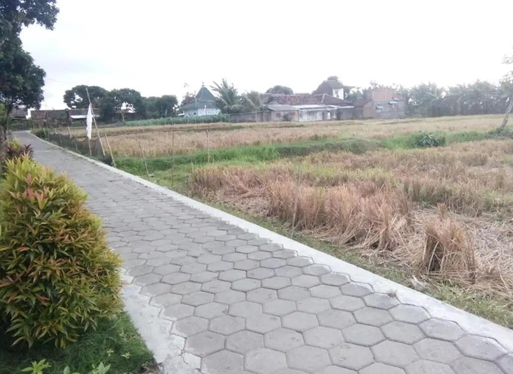 Баньюванги: Anggun Guesthouse