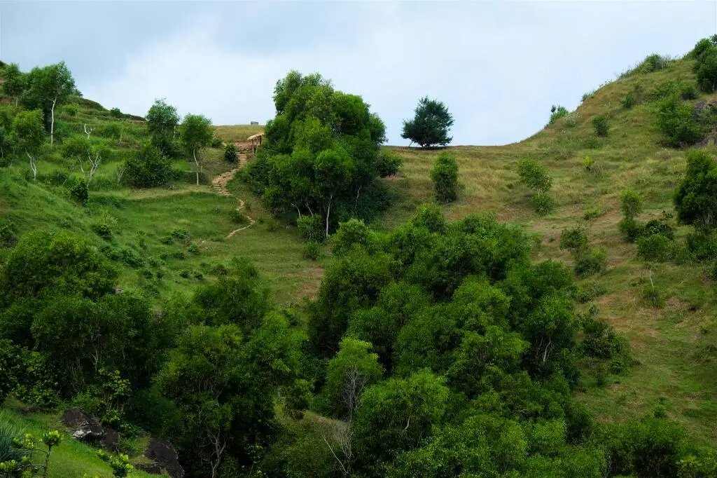 Кудус: @HOM Kudus
