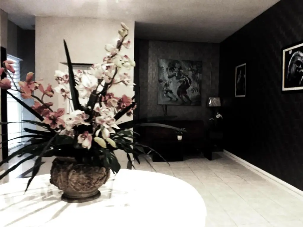 Кута: Safin Inn Harmony Seminyak