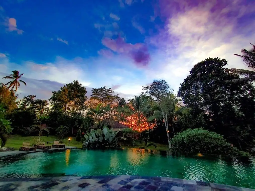 Селемадег: Bali Palms