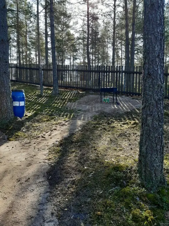 Ильинский: Dachi Skandi 3+4 Guest House