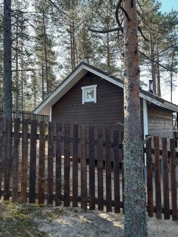 Ильинский: Dachi Skandi 3+4 Guest House