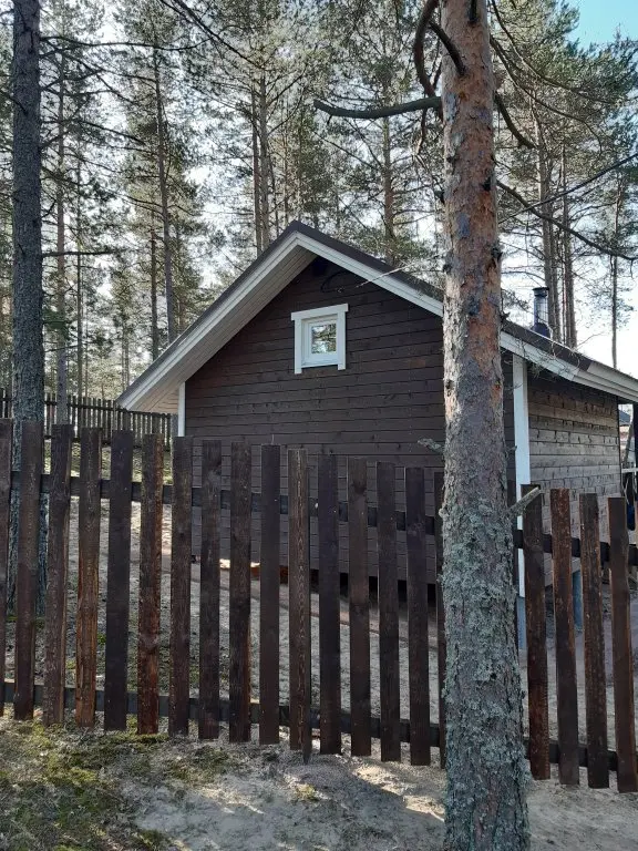 Ильинский: Dachi Skandi 3+4 Guest House