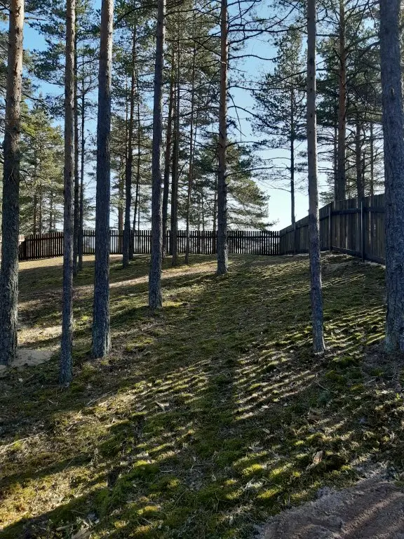 Ильинский: Dachi Skandi 3+4 Guest House