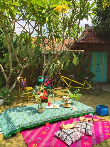 Джокьякарта: Summergrass Bed & Breakfast