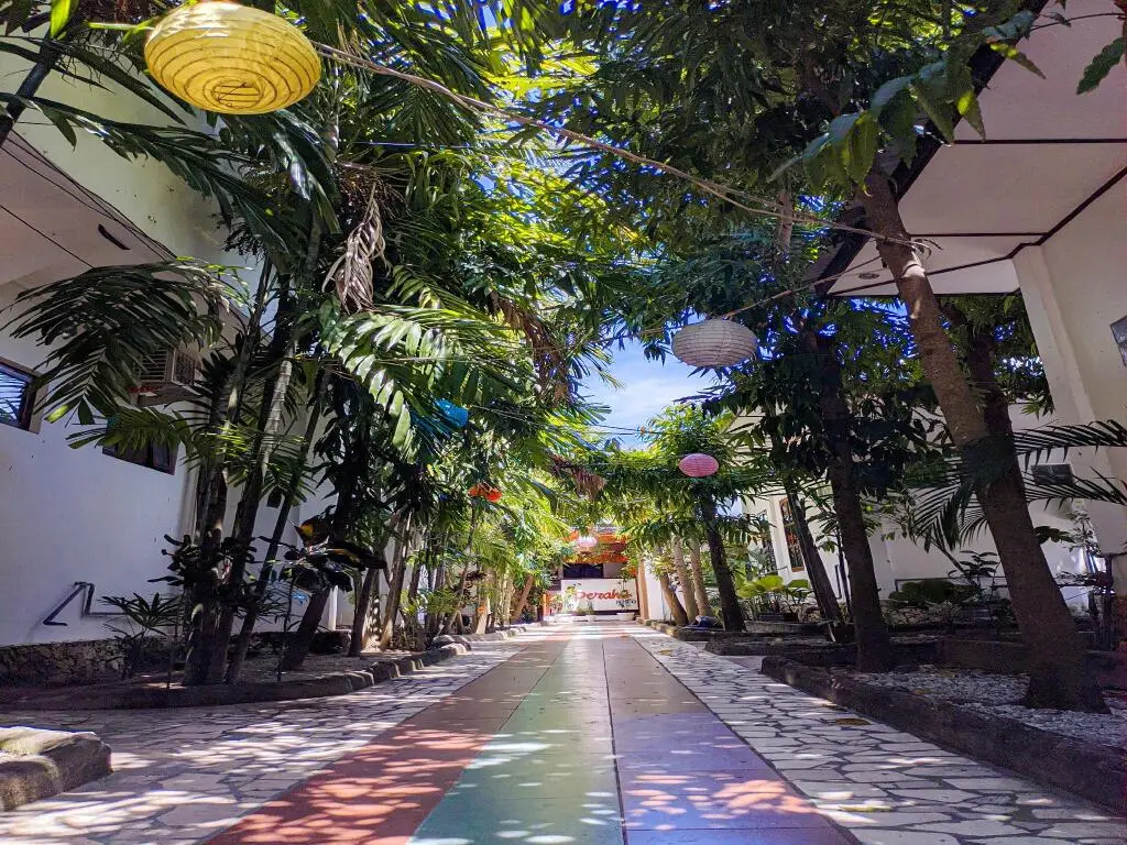 Бира: Anda Beach Hotel