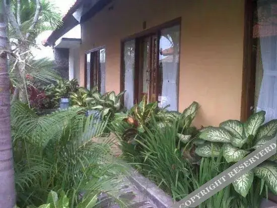 Чангу: Putu Guest House