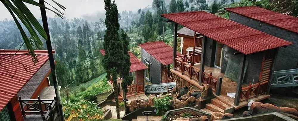Надисари: Bromo Cottages
