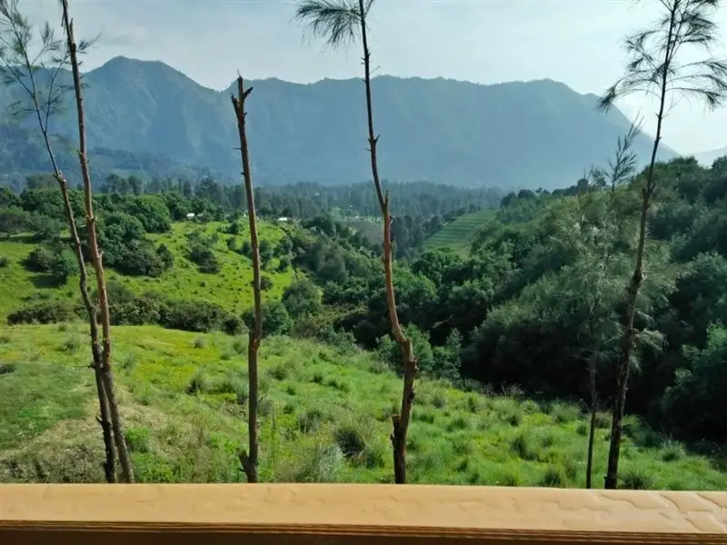 Lava View Lodge — фото 1