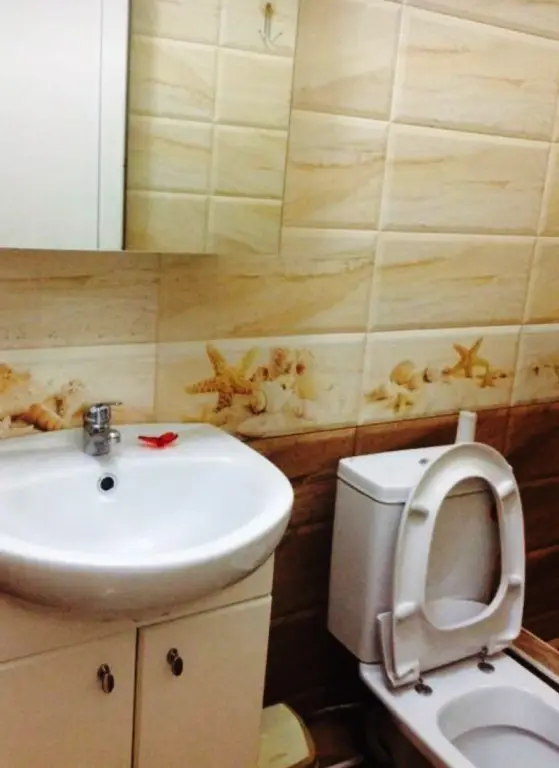 Сочи: Dikaya Orhideya Guest house