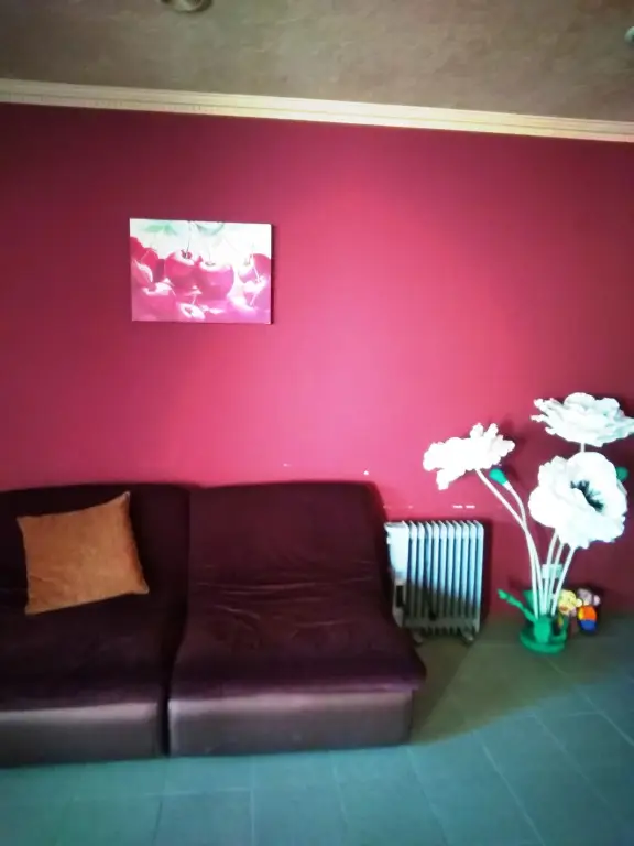 Сочи: Dikaya Orhideya Guest house