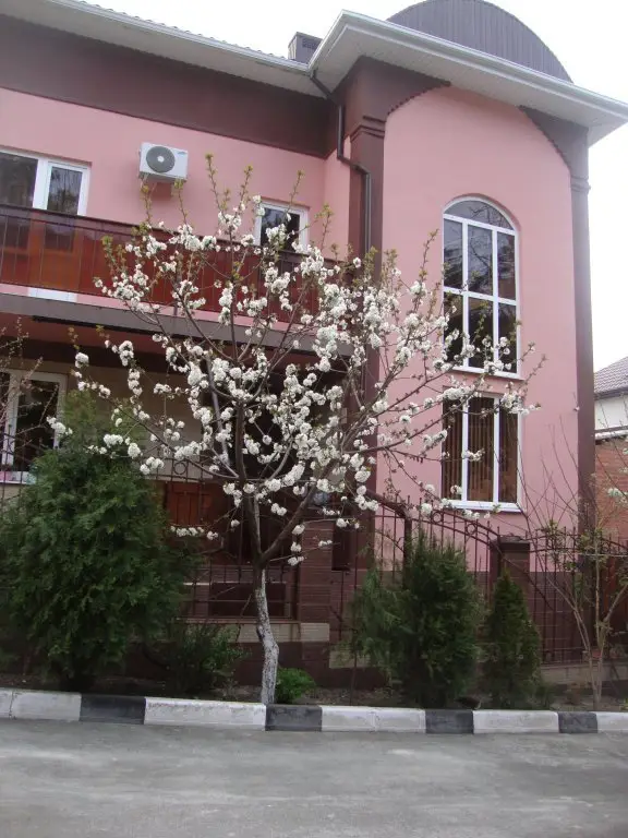 Геленджик: Divnomorje Guest House