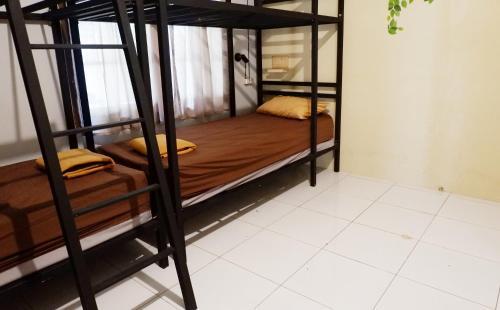 Джокьякарта: Happy Tree Hostel Yogyakarta