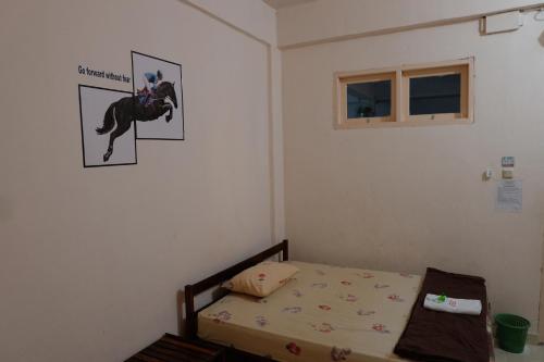 Вайнгапу: Hotel Jemmy