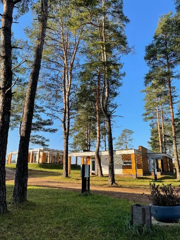 Селище: Гостевой дом Green gold park