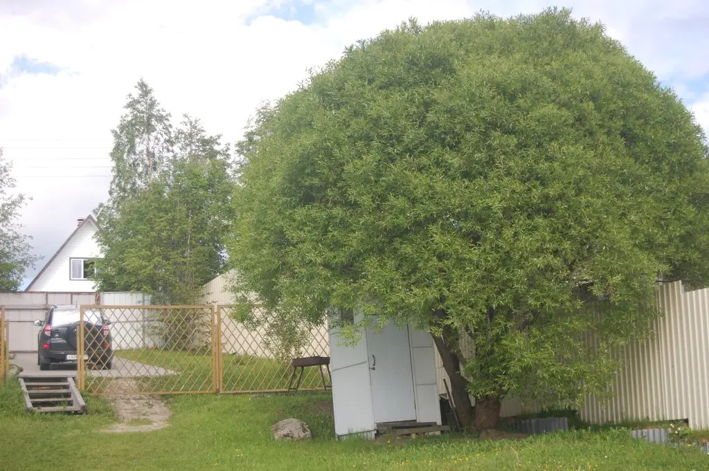 Петрозаводск: Na Nedelku Do Vtorogo Guest House