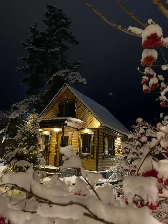 Плес: Гостевой дом Дом Шишки