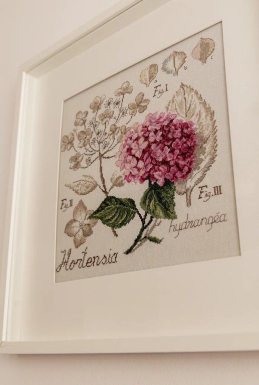 Суздаль: Гостевой дом Домашний пансион Понка Хаус