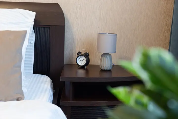 Петропавловск-Камчатский: Двухкомнатные апартаменты WELCOME HOME Aparts & Tours 30