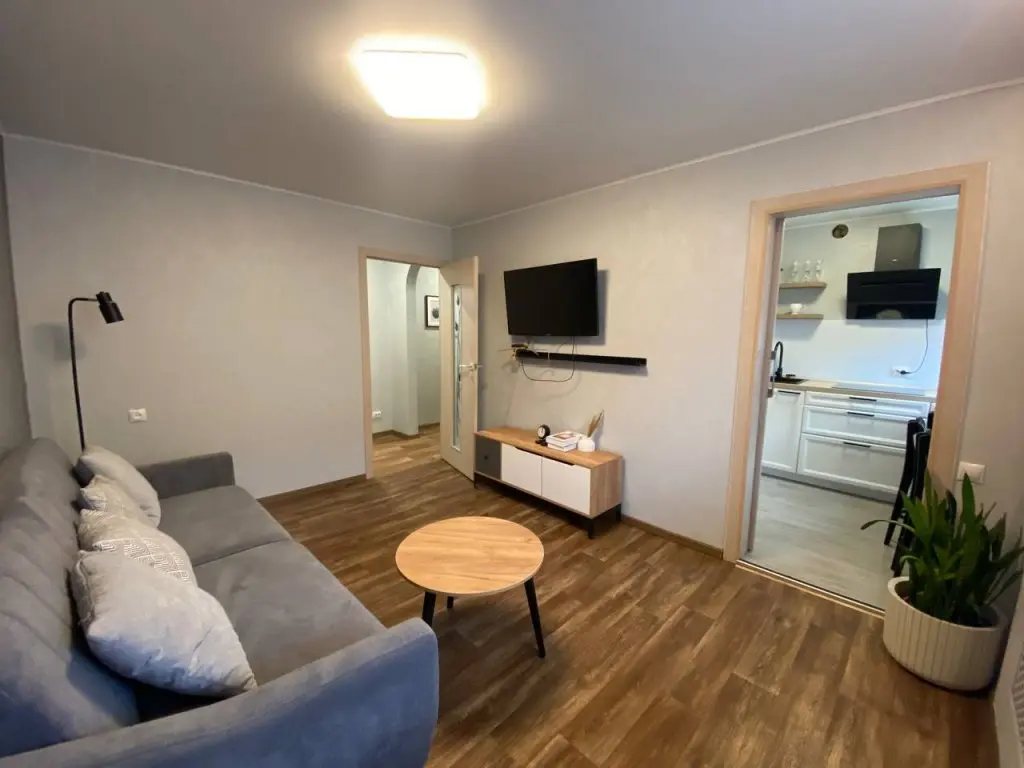Петропавловск-Камчатский: Двухкомнатные апартаменты WELCOME HOME Aparts & Tours 12