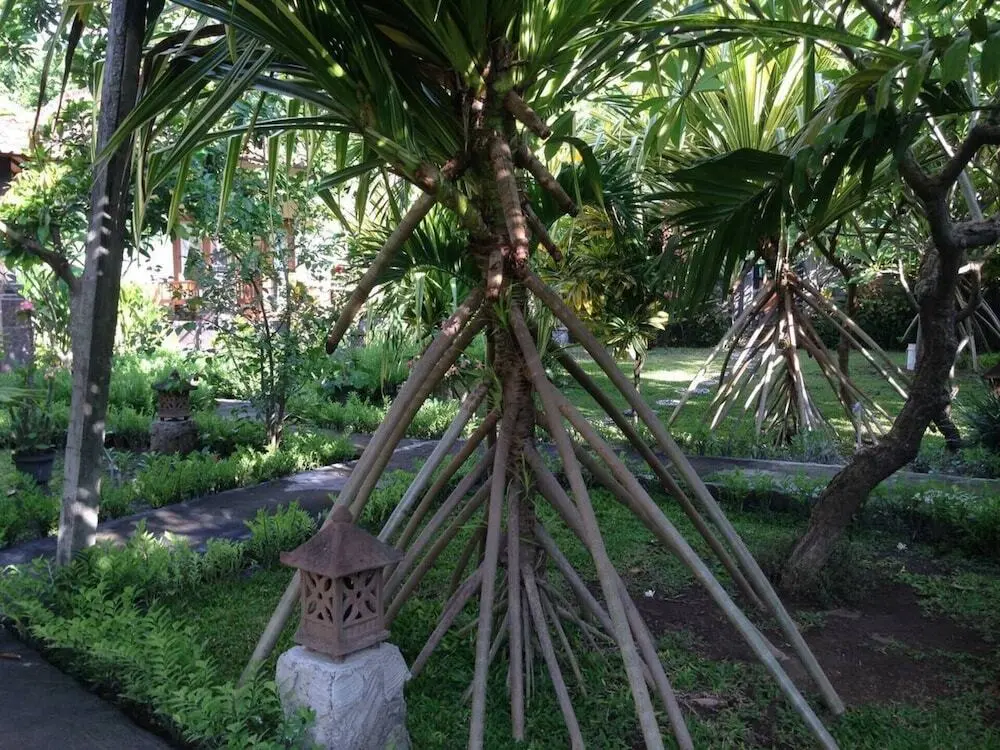 Пурвакерти: Kirana Homestay - Breeze Bungalow