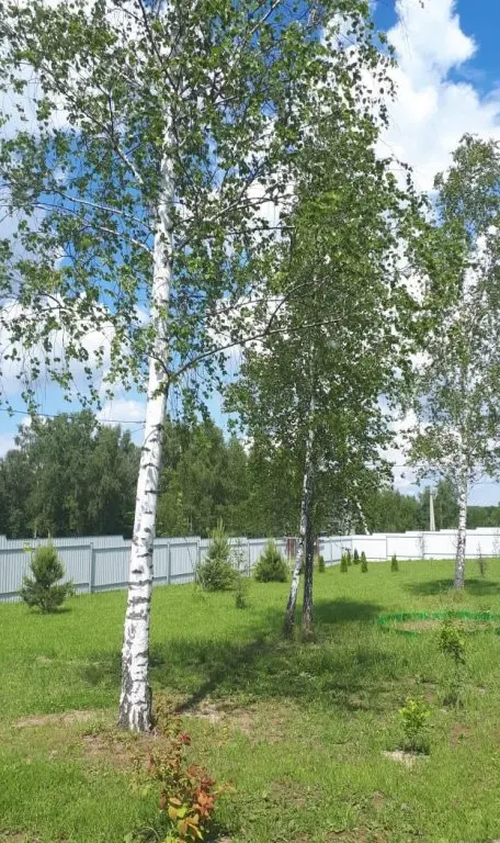 Лаптево: Дом баня Боярыня
