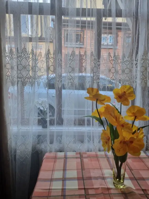 Кисловодск: Domik U Parka Guest House