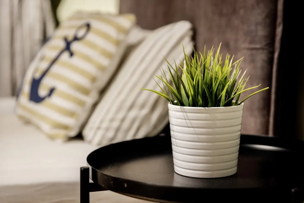 Кострома: Апартаменты Double Room