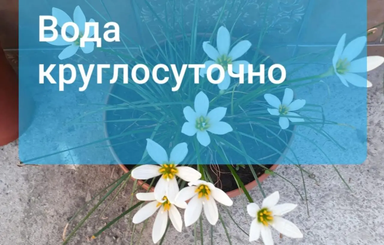 Геленджик: House Sovetskaya