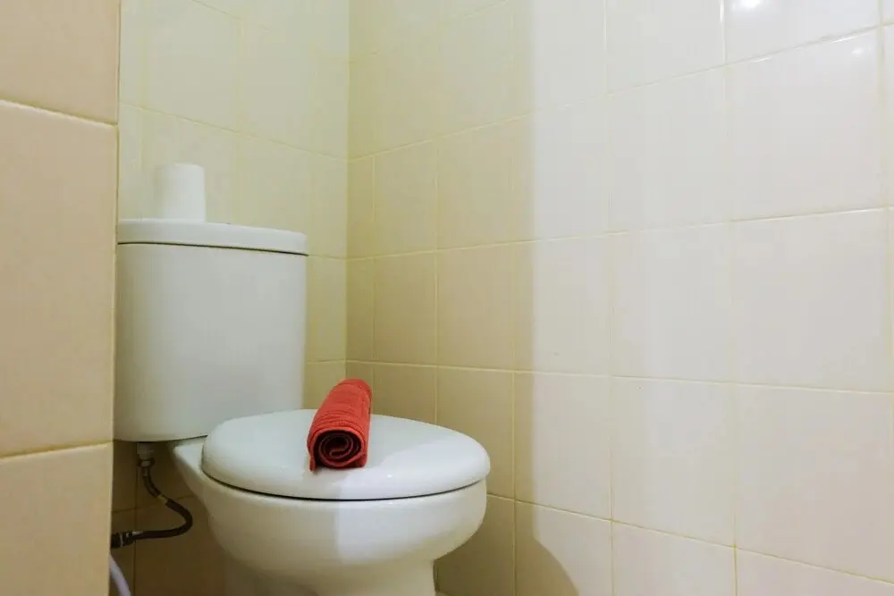Южный Тангеранг: Highest Value 2BR at Serpong Greenview Apartment