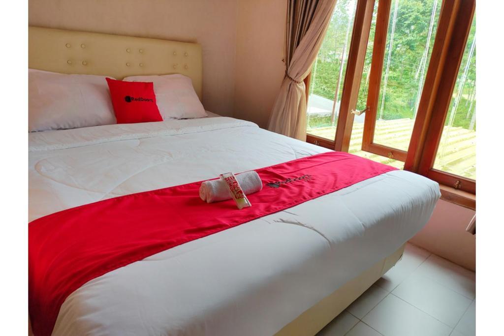 Вонособо: RedDoorz near Agrowisata Kebun Teh Dieng
