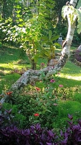 Селемадег: Balian Bliss Retreat Resort - Adults Only