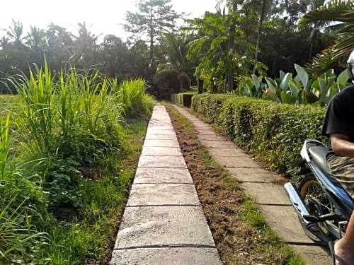 Селемадег: Balian Bliss Retreat Resort - Adults Only