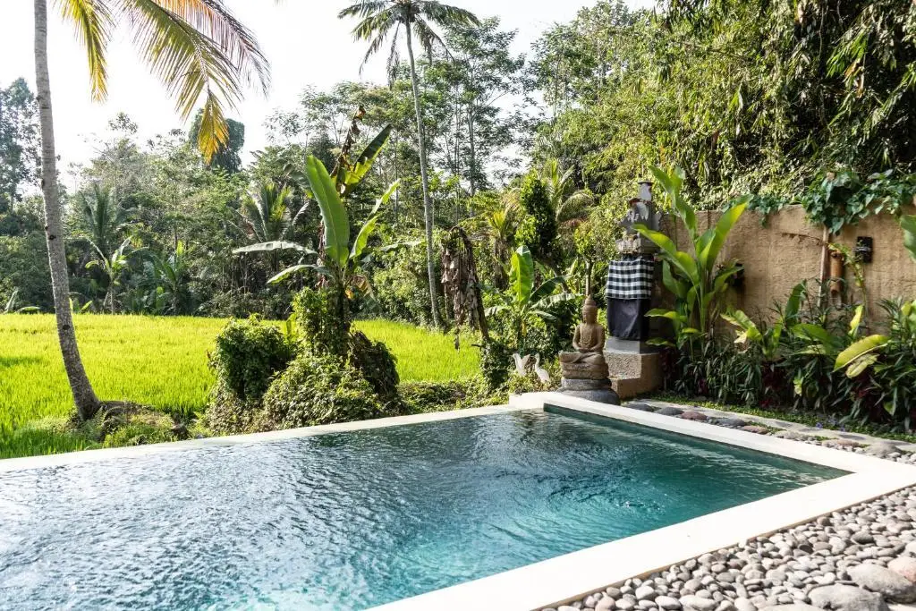 Себату: Bali Bamboo Jungle Huts And Hostel.