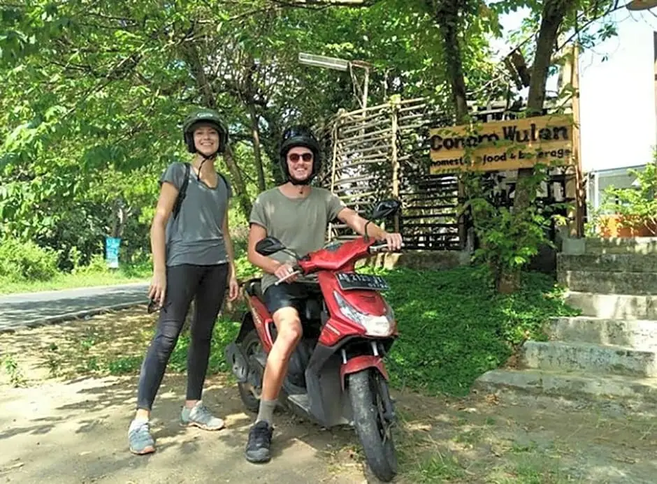 Маланг: Condro Wulan Hostel