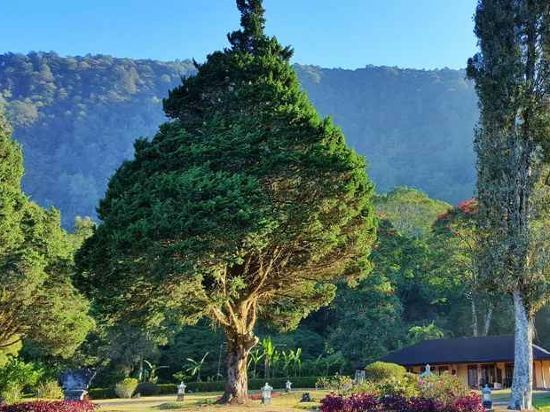 Умеаньяр: Handara Golf & Resort Bali