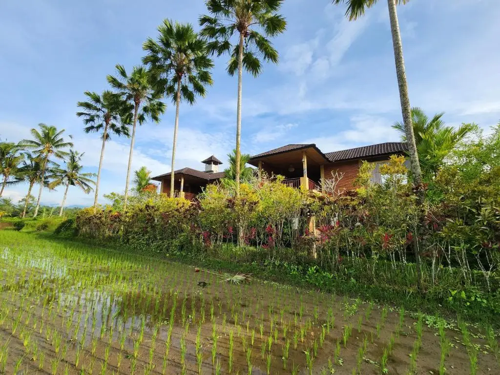 Тегаллаланг: Villa Cempaka Kedisan