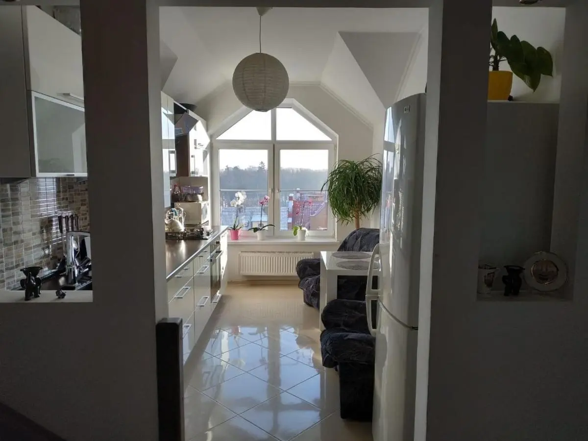Пионерский: SEA apartments