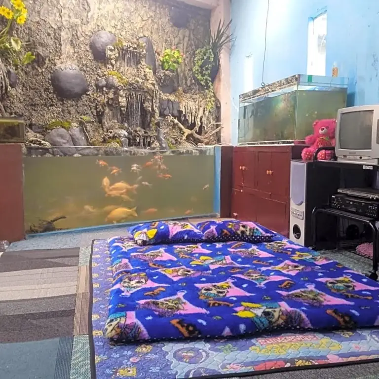 Диэнь Кулон: Pelangi Homestay by Luxury Degree