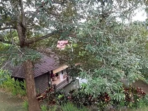 Селемадег: Natural Lodge 2