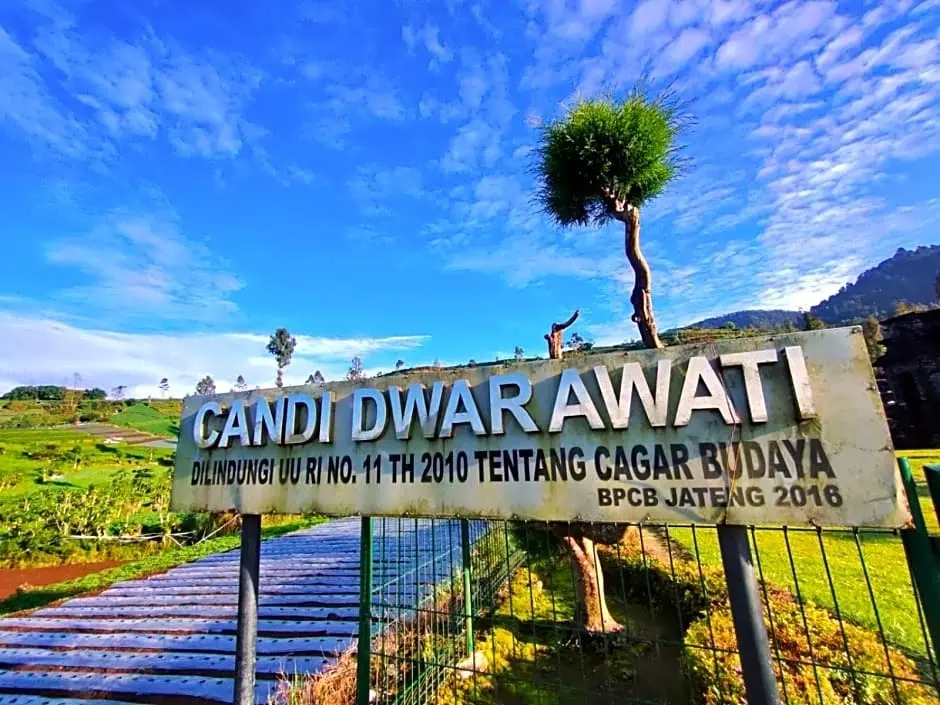 Диэнь Кулон: Akar Cemara Dieng Homestay Syariah by Luxury Degree