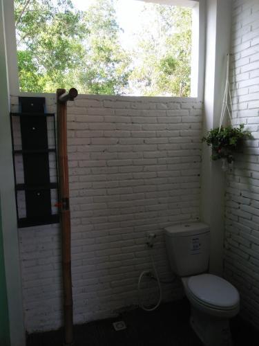 Пакитан: La Calypso Guesthouse