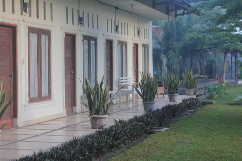 Петумбак: Nicot Guesthouse