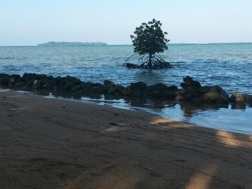Джепара: Asari Timo Beach
